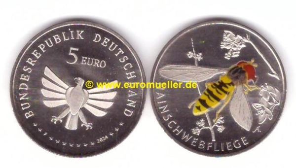 5 Euro Gedenkmünze Deutschland 2024 Hainschwebefliege
